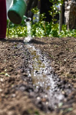 Su sulama olabilir topraktan. Yakın çekim, kavram gardenin