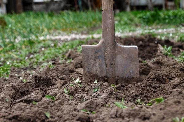 Een vrouw hand graaft bodem en grond met een schop. Close-up, Conce — Stockfoto