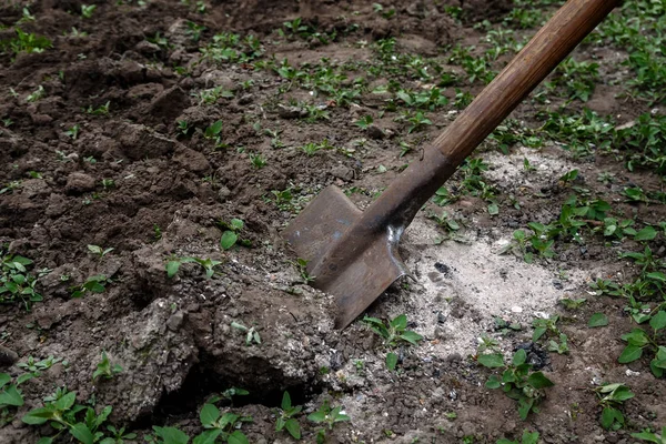 Bir kadın eli bir kürekle toprak ve toprak seven. Yakın çekim, Conce