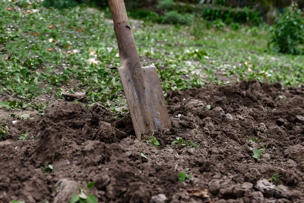 La mano di una donna scava terra e terra con una pala. Primo piano, Conce — Foto Stock
