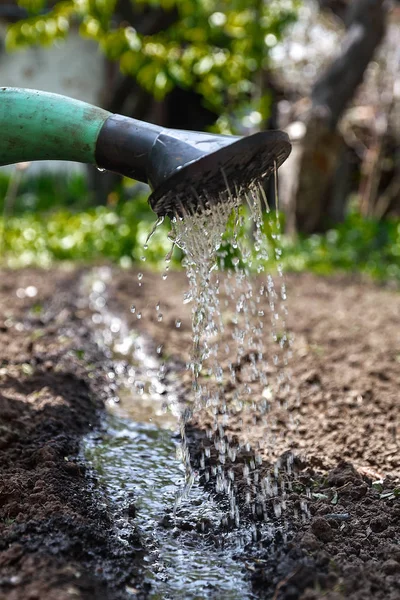 Water the soil from the watering can. Close-up, concept gardenin — Stock Photo, Image