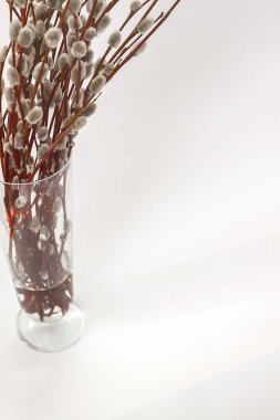 beyaz zemin üzerinde bir Vazoda Çiçekler willow kulaklı dallarında