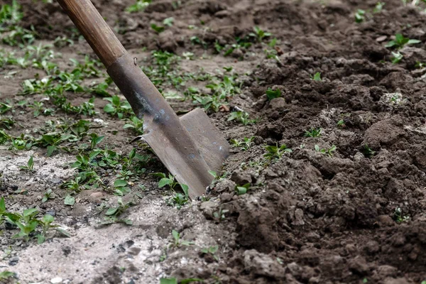 Een vrouw hand graaft bodem en grond met een schop. Close-up, Conce — Stockfoto