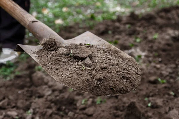 La mano di una donna scava terra e terra con una pala. Primo piano, Conce — Foto Stock