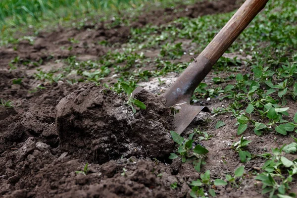 En kvinnas hand gräver jord och jord med en spade. Närbild, Conce — Stockfoto