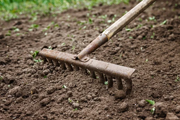 Sur le sol se trouve le râteau de jardin. Gros plan, Concept de jardinage — Photo