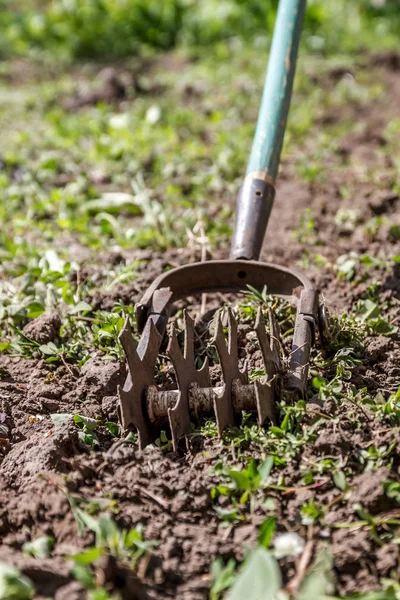 Cultivador de mão estrela para trabalhar o solo, erva daninha do jardim. O conc. — Fotografia de Stock