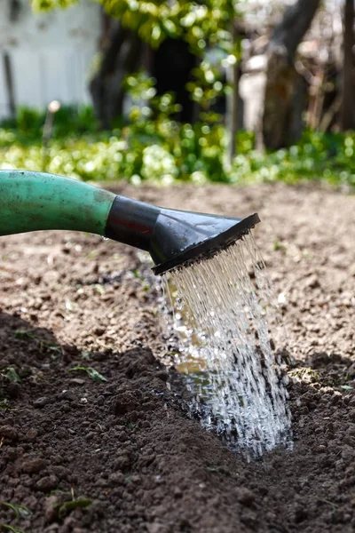 Innaffia il terreno dalla lattina di irrigazione. Primo piano, concetto giardinaggio — Foto Stock