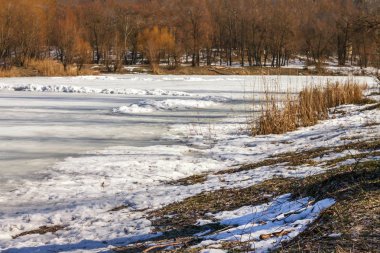 Kış güneşli manzara, Ukrayna ormanda gölde görünümünü