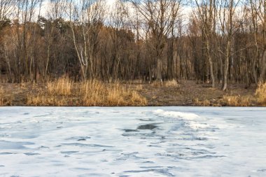 Kış güneşli manzara, Ukrayna ormanda gölde görünümünü