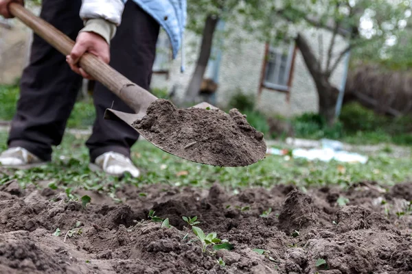一个女人的手用铲子挖土和土。特写镜头让步 — 图库照片
