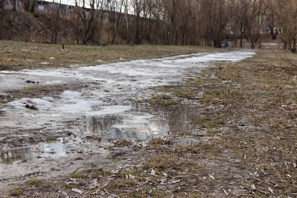 Kış güneşli manzara, Ukrayna ormanda gölde görünümünü