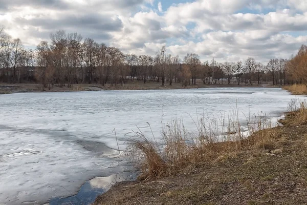 Kış güneşli manzara, Ukrayna ormanda gölde görünümünü