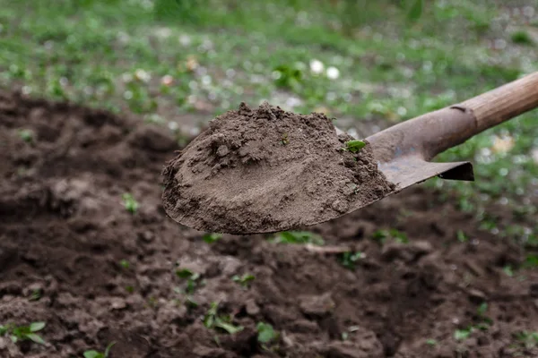 La mano di una donna scava terra e terra con una pala. Primo piano, Conce — Foto Stock