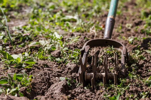 Coltivatore a mano stella per lavorare il terreno, erbaccia il giardino. La Commissione ha — Foto Stock