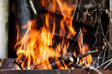Ocak yanık odun ve kömür için dalları