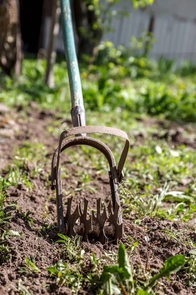 Estrella cultivadora de mano para trabajar el suelo, maleza el jardín. La conc. —  Fotos de Stock