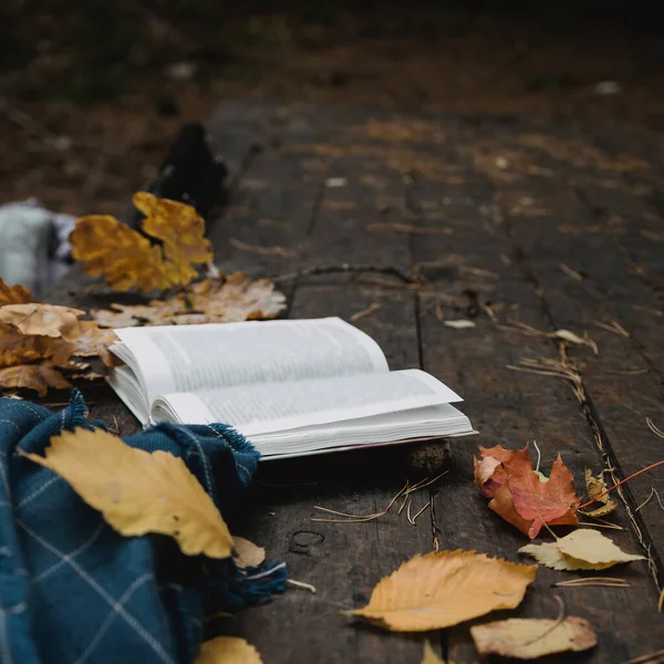 Auf einem alten Holztisch in einem herbstlichen Park liegt ein aufgeschlagenes Buch, ein blauer Plaid, ein Lichterkranz, ein Becher mit gelben Blättern und Zapfen. Ansicht von oben, in Unschärfe. herbstlich warme dunkle Stimmung, weicher Fokus. — Stockfoto