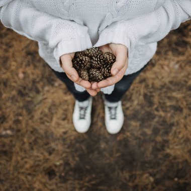Köknar kozalakları dişilerin elinde. Üst manzara, yakın çekim, bulanıklık. Sonbahar sarı yapraklarının arka planında
