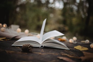 Sonbahar parkındaki eski ahşap bir masanın üzerinde açık bir kitap, ekose, üzerinde ışıklar olan bir çelenk, bir fincan sarı yaprak ve sos konisi bulunur. Üst manzara, bulanık. Sonbahar ılık karanlık ruh hali, yumuşak odaklanma.