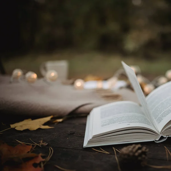 Na starém dřevěném stole v podzimním parku leží otevřená kniha, kostkovaná, věnec se světly, šálek žlutého listí a kornouty sos. Pohled shora, rozmazaný. Podzim teplá tmavá nálada, měkké zaměření. — Stock fotografie