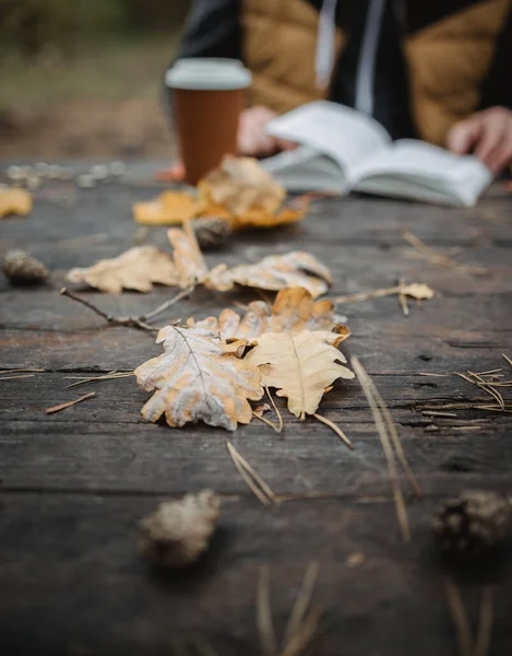 Férfi nő olvas egy könyvet az őszi parkban iszik elvitelre kávét. Közelkép a válla fölött, elmosódott. felülnézet, helyet takarít meg. Láttam a kezeit. Sötét retro stílusban — Stock Fotó