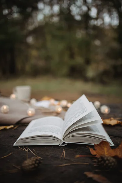 Sobre una vieja mesa de madera en un parque de otoño se encuentra un libro abierto, una manta a cuadros, una guirnalda con luces, una taza de hojas amarillas y conos sos. Vista superior, borrosa. Otoño cálido humor oscuro, enfoque suave . — Foto de Stock