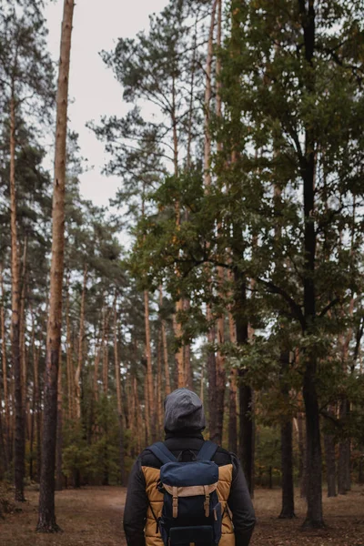 Een jongeman met een rugzak in de hoed, reiziger, hipster in het bos, Wandelen, Bos, Reis. — Stockfoto