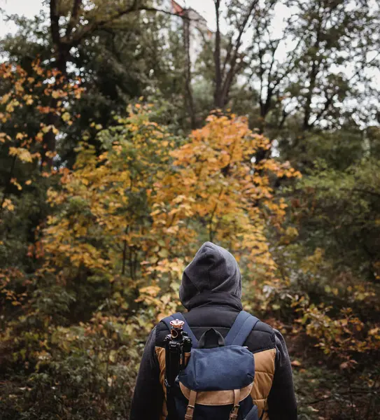 Een jongeman met een rugzak in de hoed, reiziger, hipster in het bos, Wandelen, Bos, Reis. — Stockfoto