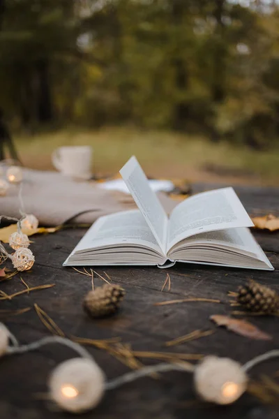 Sobre una vieja mesa de madera en un parque de otoño se encuentra un libro abierto, una manta a cuadros, una guirnalda con luces, una taza de hojas amarillas y conos sos. Vista superior, borrosa. Otoño cálido humor oscuro, enfoque suave . — Foto de Stock