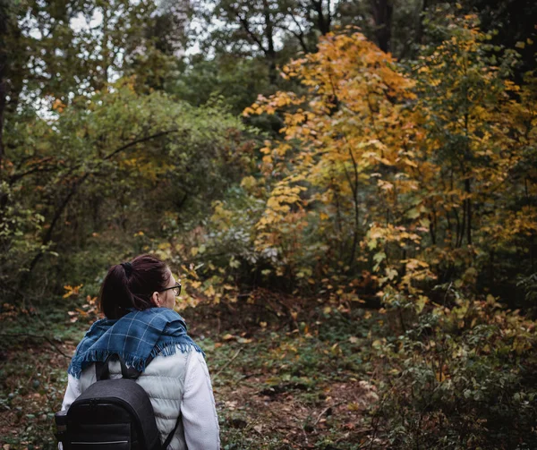 Wandelende vrouw in het herfstbos. Backpacker staat in het bos tijdens het najaar. Genieten van een wandeling in de natuur op zonnige dag — Stockfoto