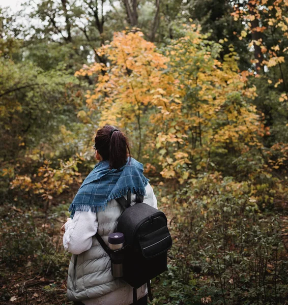 Wandelende vrouw in het herfstbos. Backpacker staat in het bos tijdens het najaar. Genieten van een wandeling in de natuur op zonnige dag — Stockfoto