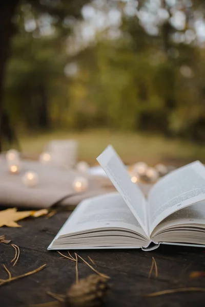 Sobre una vieja mesa de madera en un parque de otoño se encuentra un libro abierto, una manta a cuadros, una guirnalda con luces, una taza de hojas amarillas y conos sos. Vista superior, borrosa. Otoño cálido humor oscuro, enfoque suave . — Foto de Stock