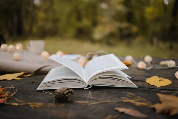 Sobre una vieja mesa de madera en un parque de otoño se encuentra un libro abierto, una manta a cuadros, una guirnalda con luces, una taza de hojas amarillas y conos sos. Vista superior, borrosa. Otoño cálido humor oscuro, enfoque suave . — Foto de Stock