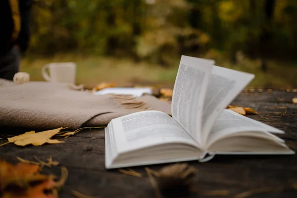 Sobre una vieja mesa de madera en un parque de otoño se encuentra un libro abierto, una manta a cuadros, una guirnalda con luces, una taza de hojas amarillas y conos sos. Vista superior, borrosa. Otoño cálido humor oscuro, enfoque suave . — Foto de Stock