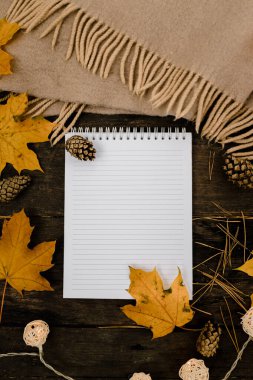 Eşarp, ekose ve fincan, sonbahar sarısı yapraklar ve çam kozalaklarıyla dolu koyu bir arkaplanda beyaz boş bir defter ve kalem. Yukarıdan bak. Bulanık yatıyordu. Boşluğu kopyala