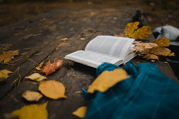Az őszi parkban egy régi fából készült asztalon található egy nyitott könyv, egy kék kocka, egy füzér fényekkel, egy csésze sárga levelek és sos kúpok. Első látásra, homályosan. Őszi meleg sötét hangulat, lágy fókusz. — Stock Fotó