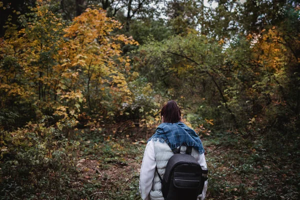 Wandelende vrouw in het herfstbos. Backpacker staat in het bos tijdens het najaar. Genieten van een wandeling in de natuur op zonnige dag — Stockfoto