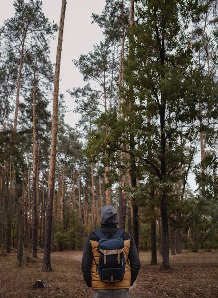 Een jongeman met een rugzak in de hoed, reiziger, hipster in het bos, Wandelen, Bos, Reis. — Stockfoto