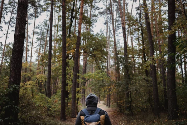 Een jongeman met een rugzak in de hoed, reiziger, hipster in het bos, Wandelen, Bos, Reis. — Stockfoto