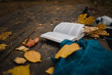 Sonbahar parkındaki eski ahşap bir masanın üzerinde açık bir kitap, mavi bir ekose, ışıklı bir çelenk, bir fincan sarı yaprak ve sos konisi bulunur. Üst manzara, bulanık. Sonbahar ılık karanlık ruh hali, yumuşak odaklanma.