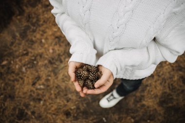 Köknar kozalakları dişilerin elinde. Üst manzara, yakın çekim, bulanıklık. Sonbahar sarı yapraklarının arka planında