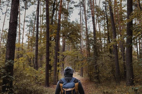 Een jongeman met een rugzak in de hoed, reiziger, hipster in het bos, Wandelen, Bos, Reis. — Stockfoto