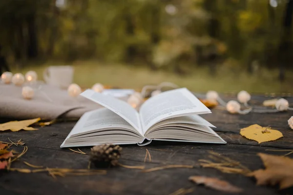 Sur une vieille table en bois dans un parc d'automne se trouve un livre ouvert, un plaid, une guirlande avec des lumières, une tasse de feuilles jaunes et des cônes de sos. Vue de dessus, floue. Automne ambiance sombre chaude, mise au point douce . — Photo