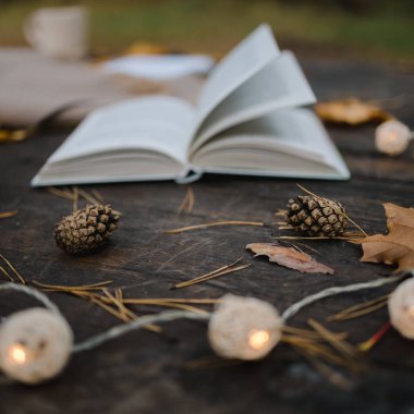Sonbahar parkındaki eski ahşap bir masanın üzerinde açık bir kitap, ekose, üzerinde ışıklar olan bir çelenk, bir fincan sarı yaprak ve sos konisi bulunur. Üst manzara, bulanık. Sonbahar ılık karanlık ruh hali, yumuşak odaklanma.