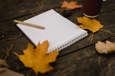 Eşarp, ekose ve fincan, sonbahar sarısı yapraklar ve çam kozalaklarıyla dolu koyu bir arkaplanda beyaz boş bir defter ve kalem. Yukarıdan bak. Bulanık yatıyordu. Boşluğu kopyala