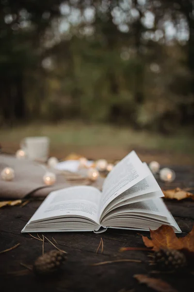 Sur une vieille table en bois dans un parc d'automne se trouve un livre ouvert, un plaid, une guirlande avec des lumières, une tasse de feuilles jaunes et des cônes de sos. Vue de dessus, floue. Automne ambiance sombre chaude, mise au point douce . — Photo