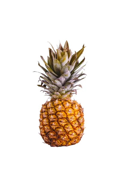 Ananas mûr juteux sur fond blanc, isolé . — Photo