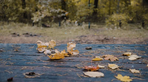 På det gamla träbordet i skogen ligger torra gula eklöv i oskärpa — Stockfoto
