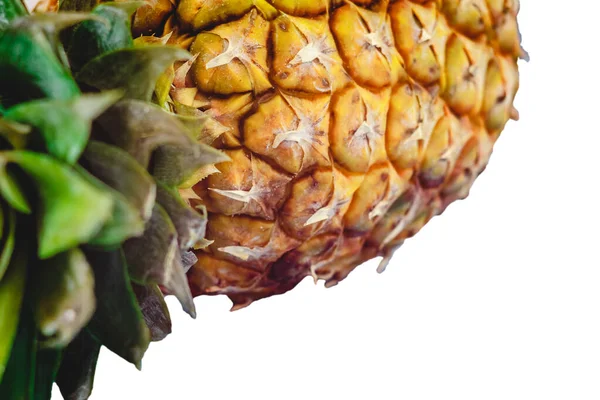 Mehukas kypsä ananas hedelmät valkoisella pohjalla, eristetty . — kuvapankkivalokuva